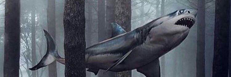 kkeseli's profile banner image