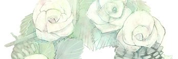 NKT178's profile banner image