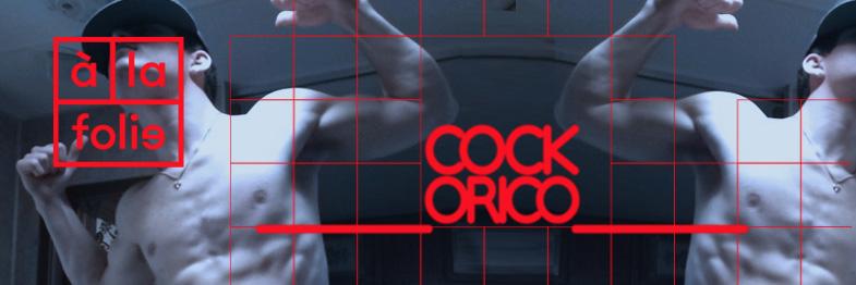 cockoricoparty's profile banner image