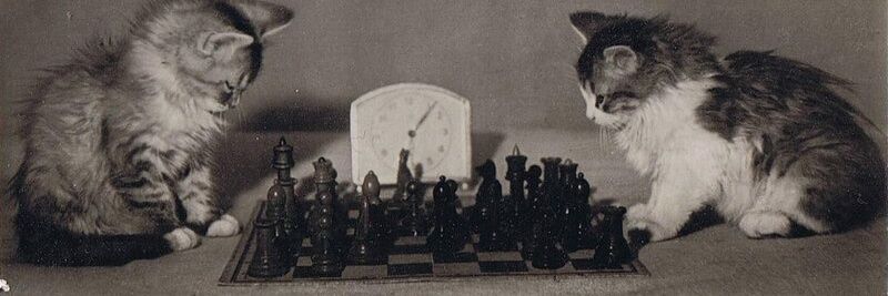 Space Rock Opera ☭ 🛸 👽 banner