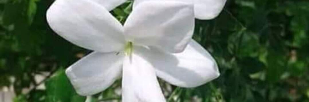aboisraaa's profile banner image