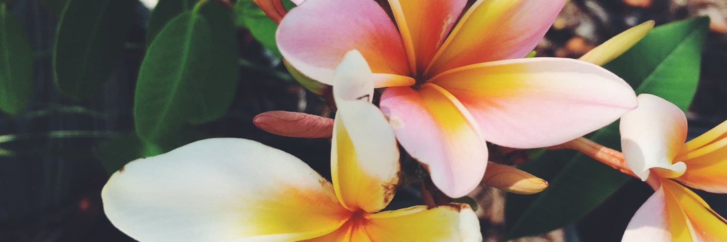 melissaaaaa05's profile banner image