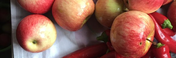 MathiasMogge Profile Banner