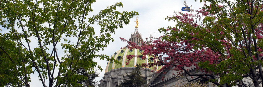 Rep. Wendy Ullman banner