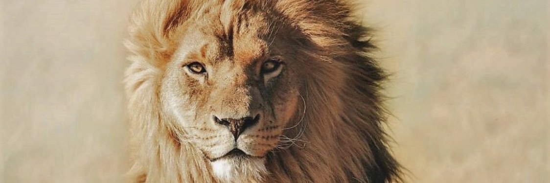 edgar_c24's profile banner image