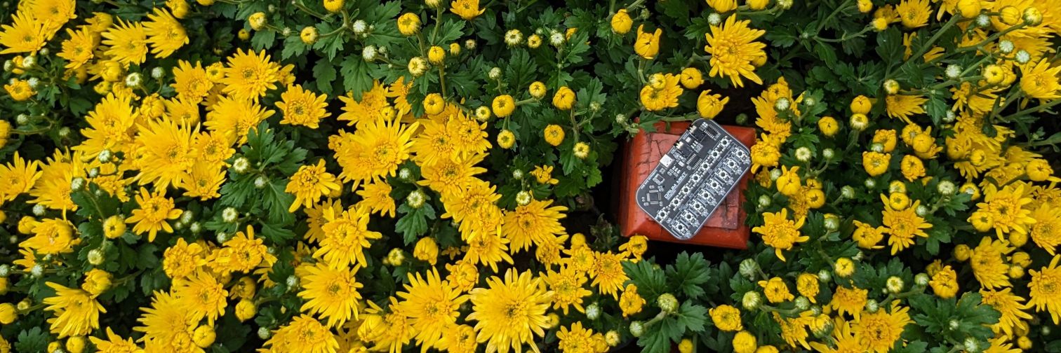 HOME BAKE INSTRUMENTS banner