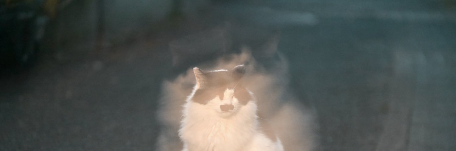 宇治茶（UJICHA） banner