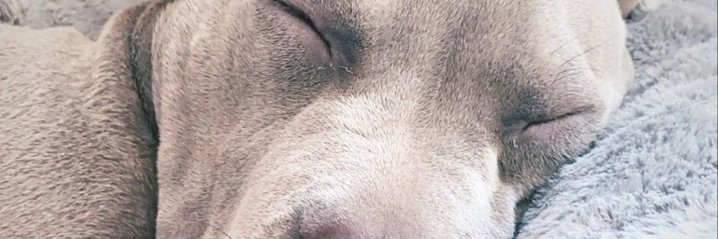 Mooore_jr's profile banner image