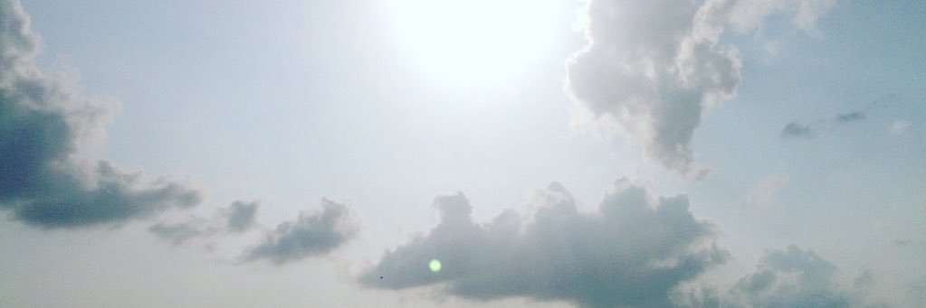 Brainy1632's profile banner image