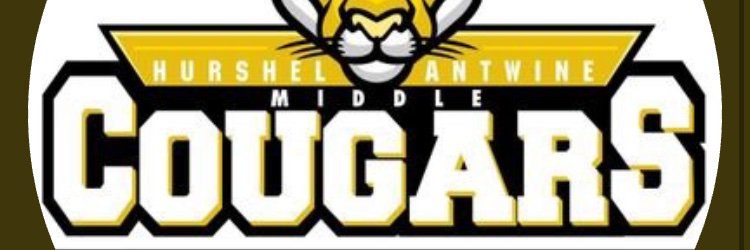 Monica Chavez banner