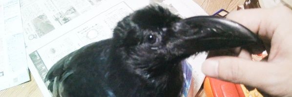 tetturrr's profile banner image