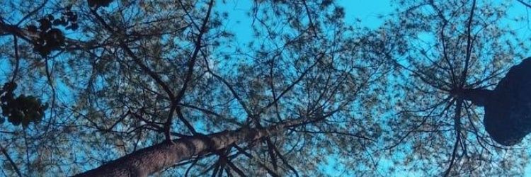 ignalhakim_'s profile banner image