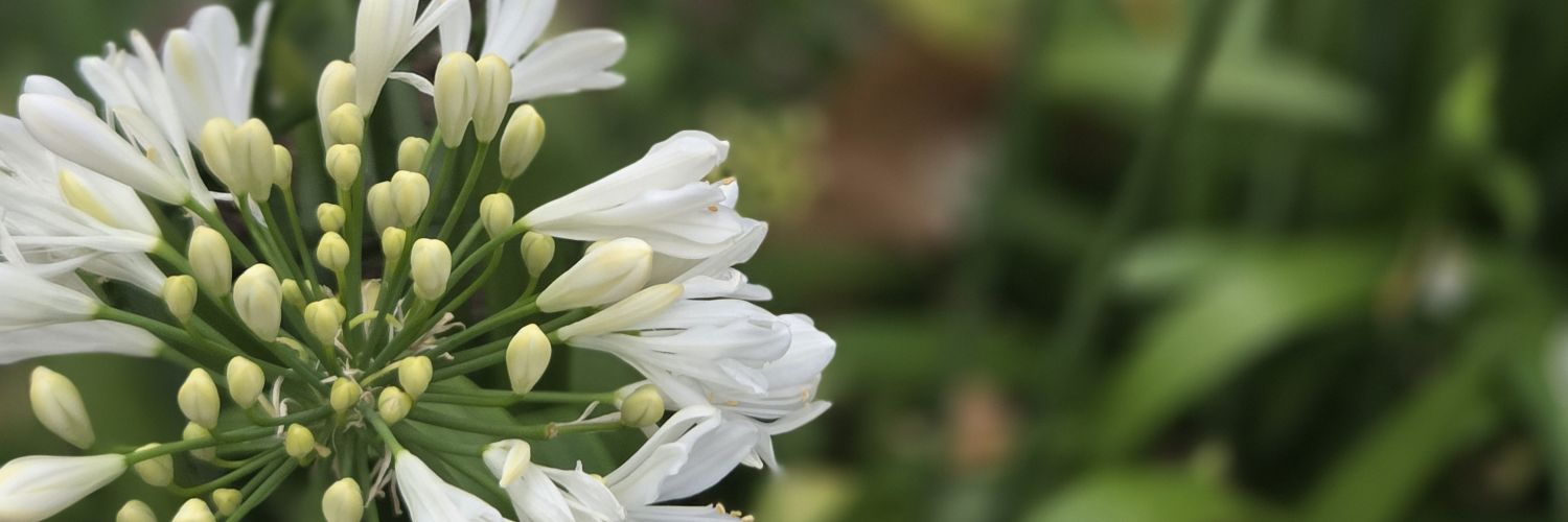 MancPhotoGirl's profile banner image