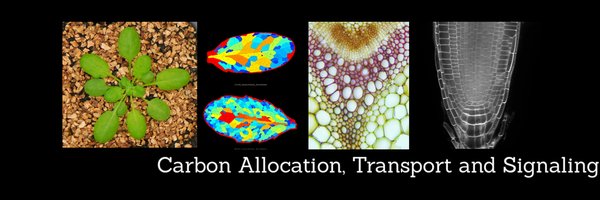 CATSteam1 Profile Banner