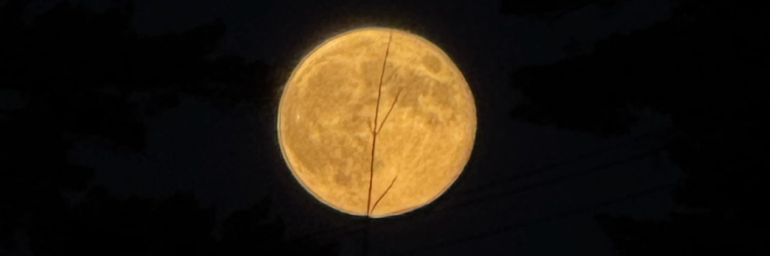 roamerdeep7's profile banner image