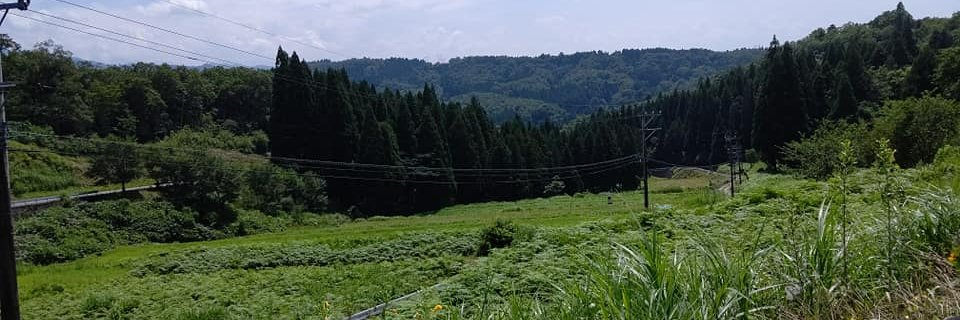 たけうち　ひろみち banner