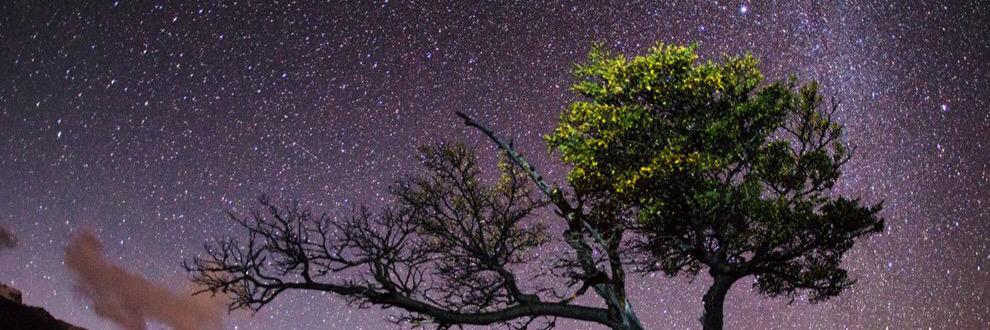 TristanMaypole's profile banner image