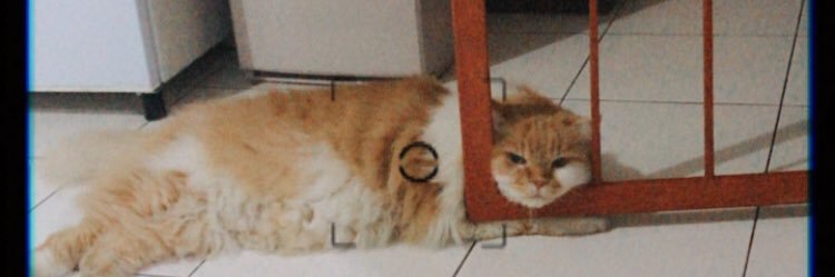 emyekaa's profile banner image