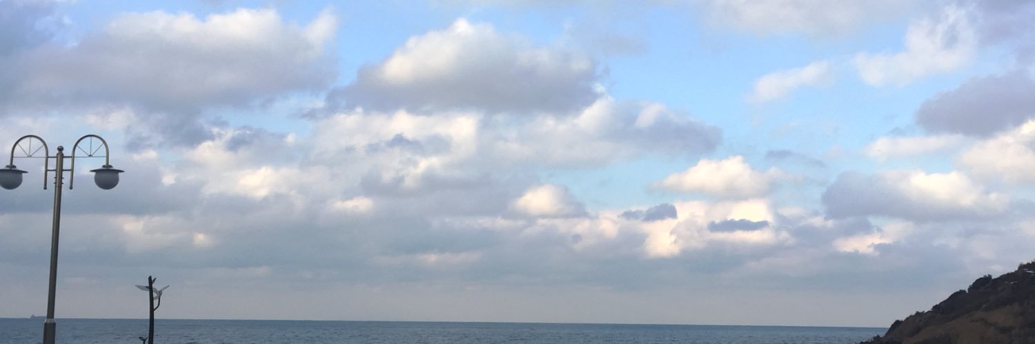 erikarabbit's profile banner image