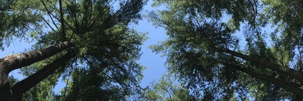 SammonSTEAM Profile Banner