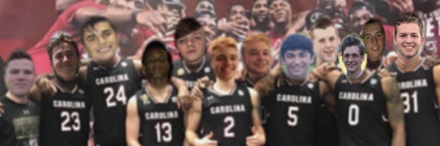 CocksCiccotti's profile banner image