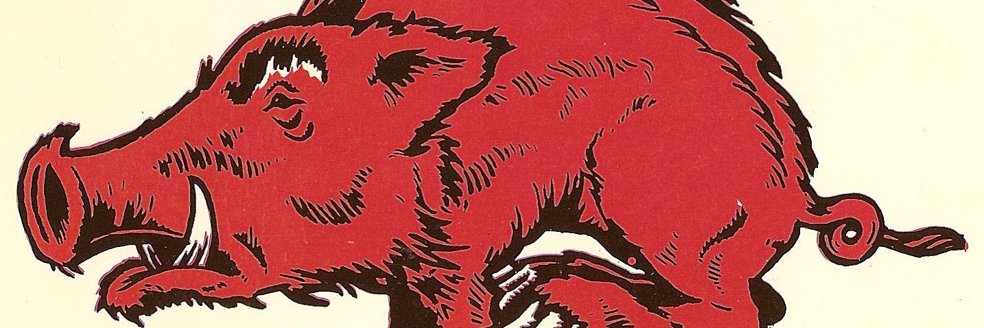 dustangam's profile banner image