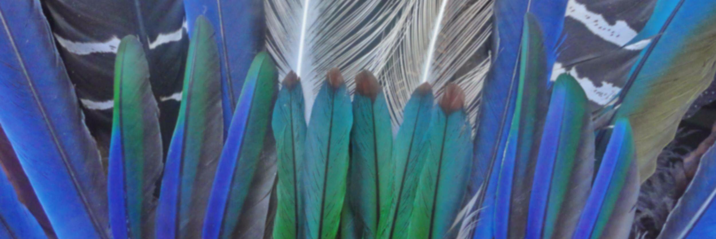 mussart's profile banner image