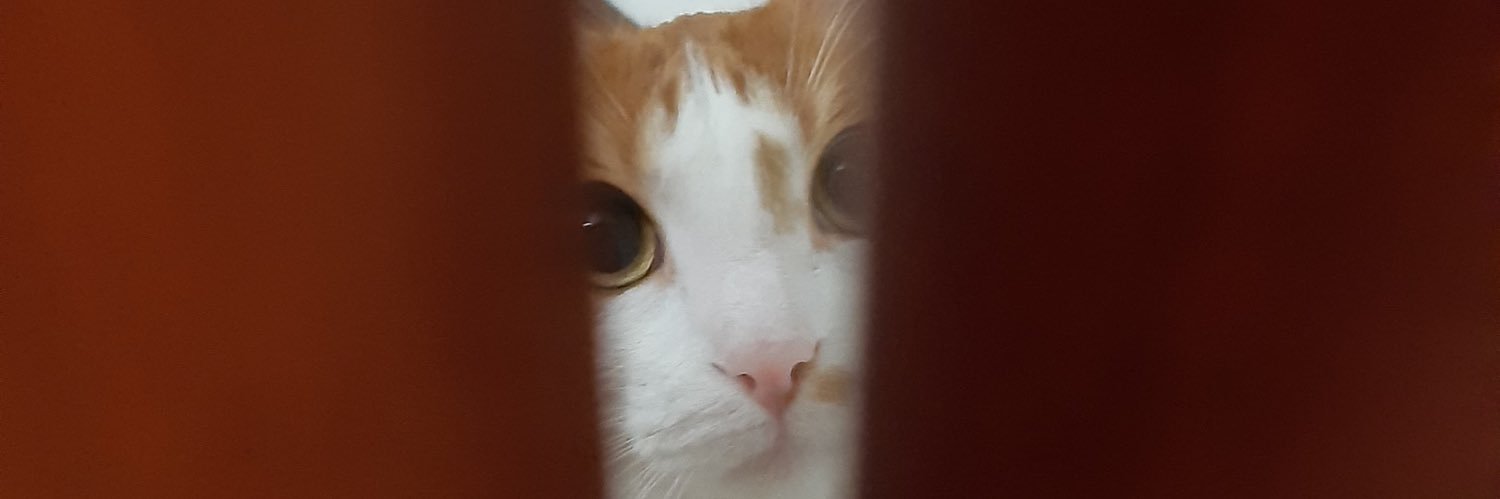 María Alejandra banner