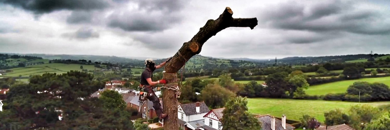 Ace Arboriculture banner