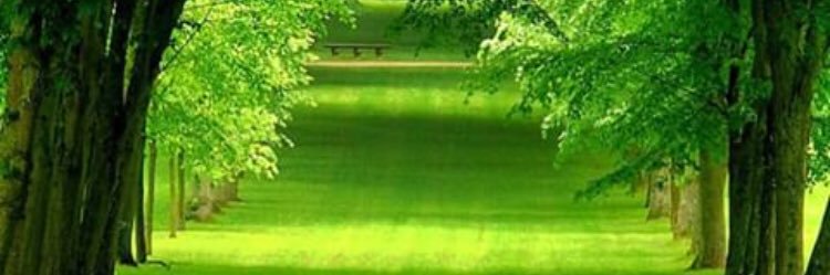 msalaqeel's profile banner image