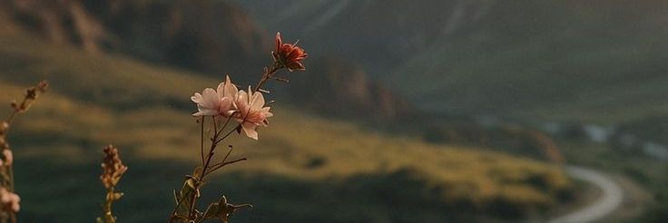 Cecee_V's profile banner image