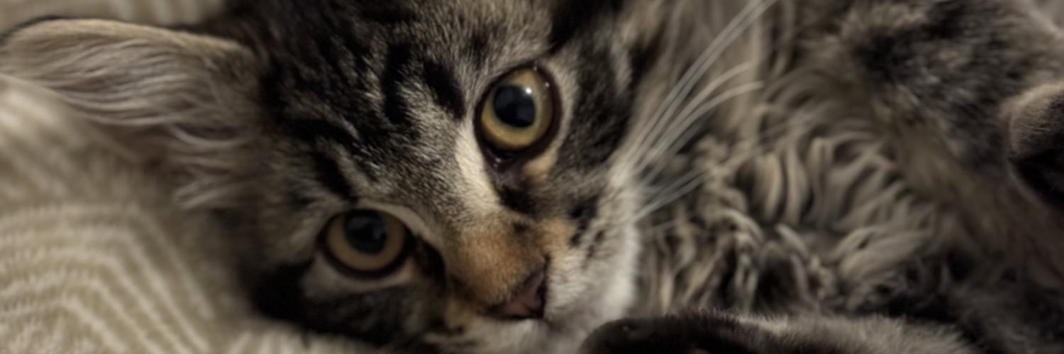Atuulz's profile banner image