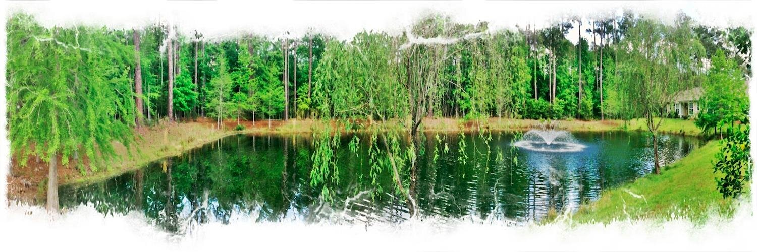 searobin's profile banner image