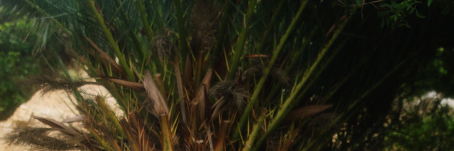 SmokeScreen216's profile banner image