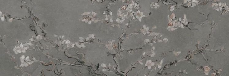 MBelenLeiva's profile banner image