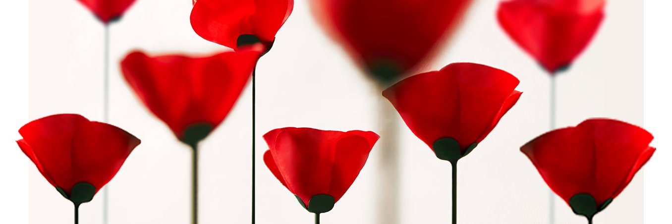 KenzoParfumsMex's profile banner image