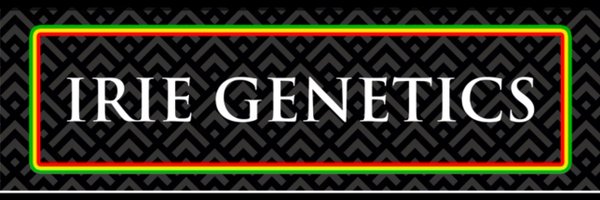 IrieGenetics Profile Banner