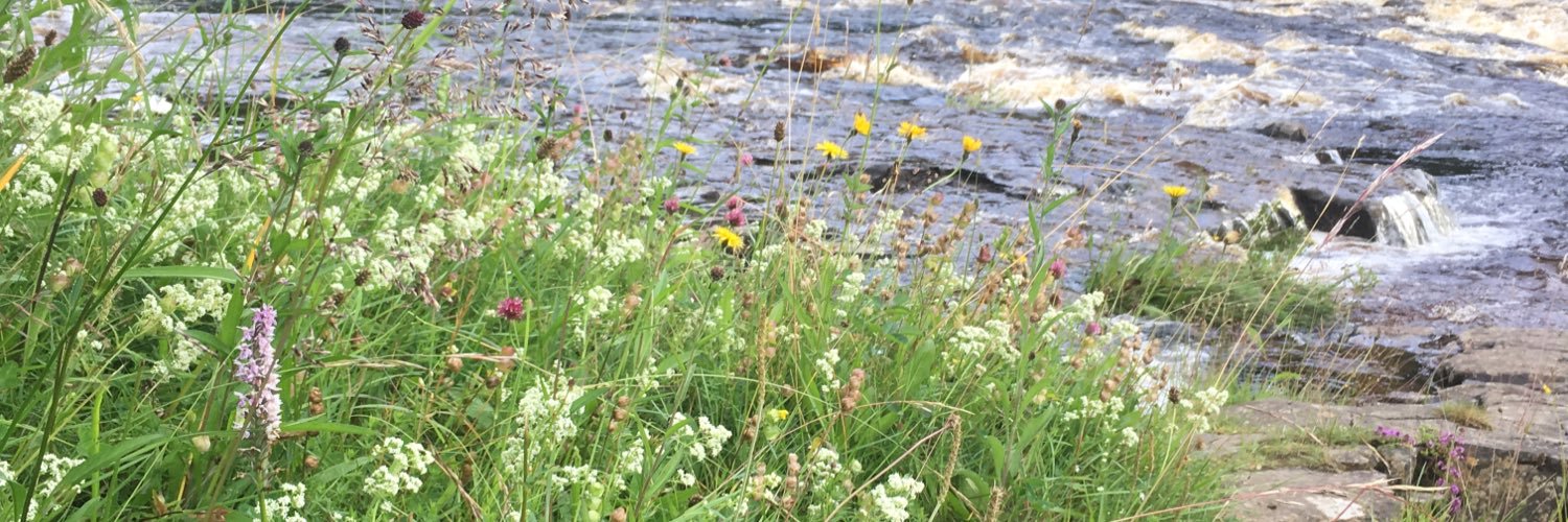 joannagreetham's profile banner image