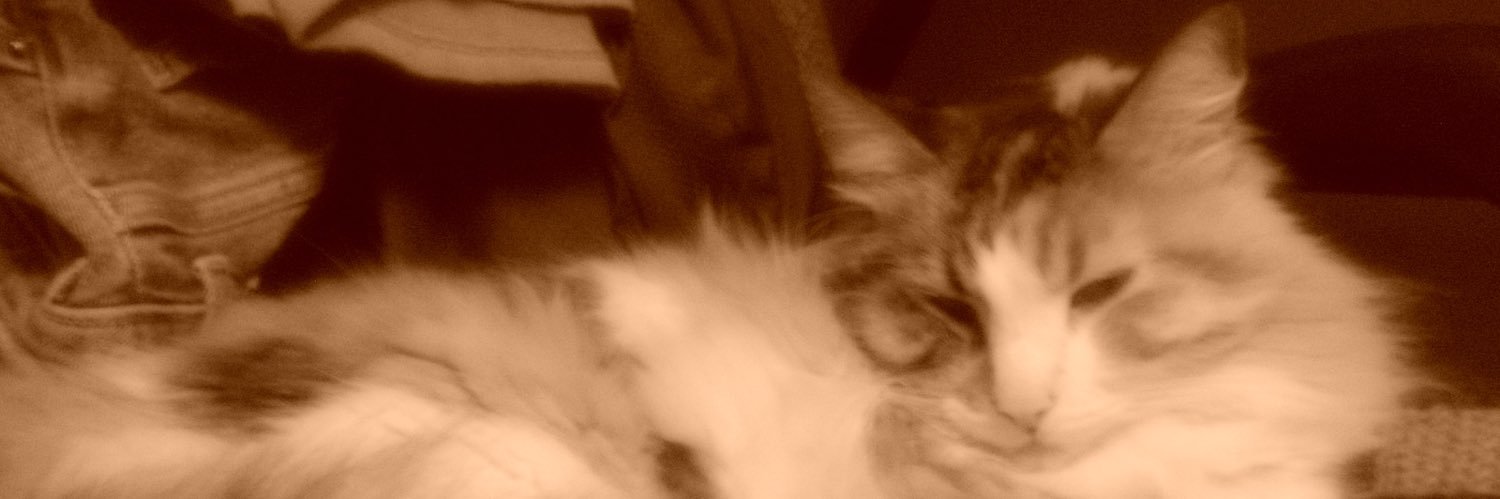 fameddina's profile banner image