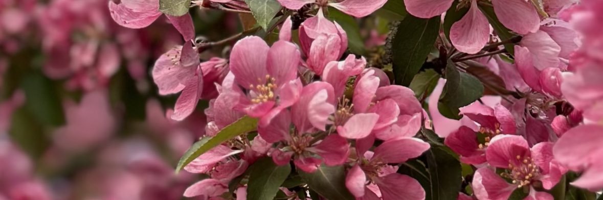 Mads Rundstrøm banner
