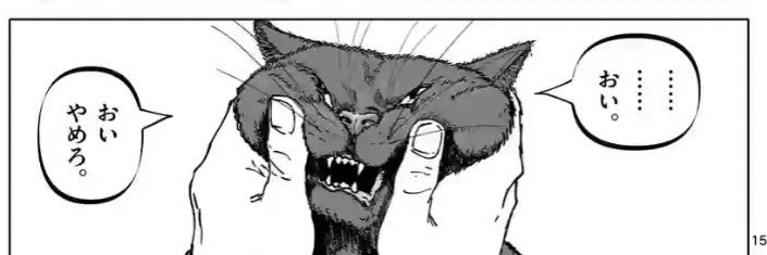 Riki Kamo 🥔おいも banner