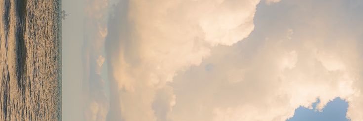 sedushedone's profile banner image