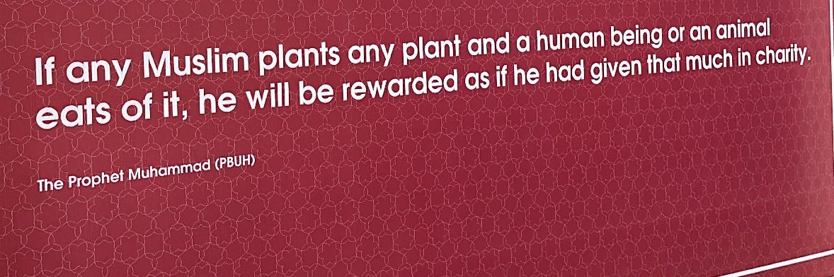 3abdelfataa7's profile banner image