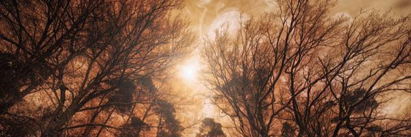 rubiaferrer's profile banner image