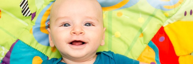 eastersealsnoh's profile banner image