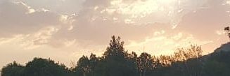 AlbertoPatiño banner