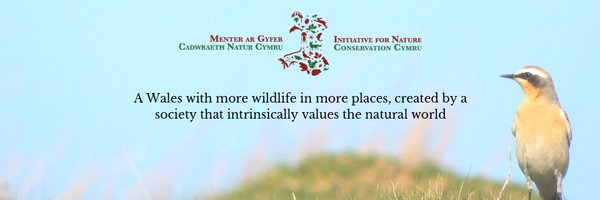 INCCymru Profile Banner