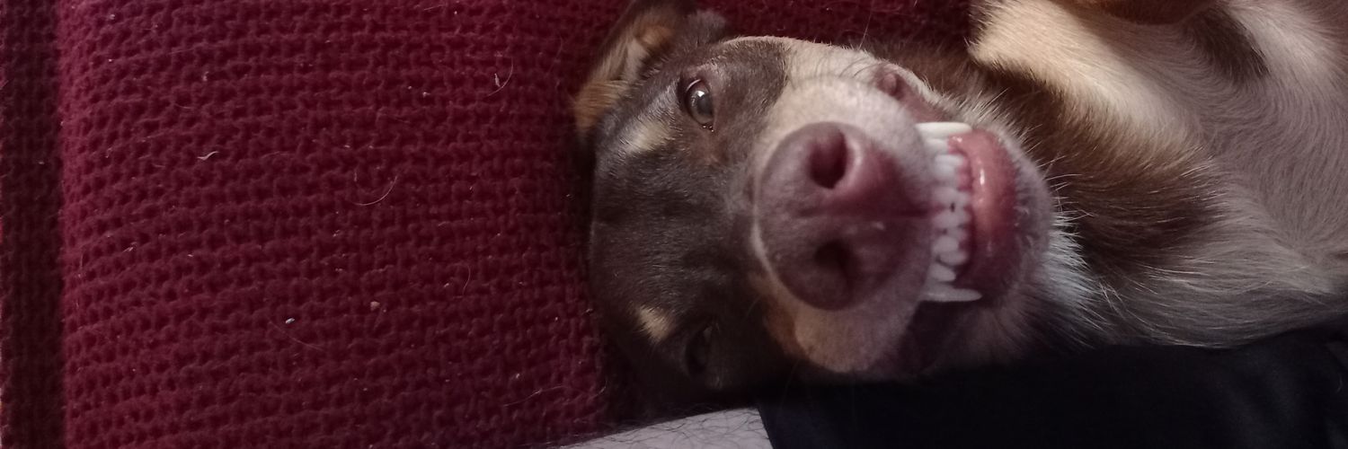 Moi banner