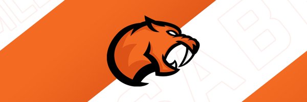 SabresMLE Profile Banner