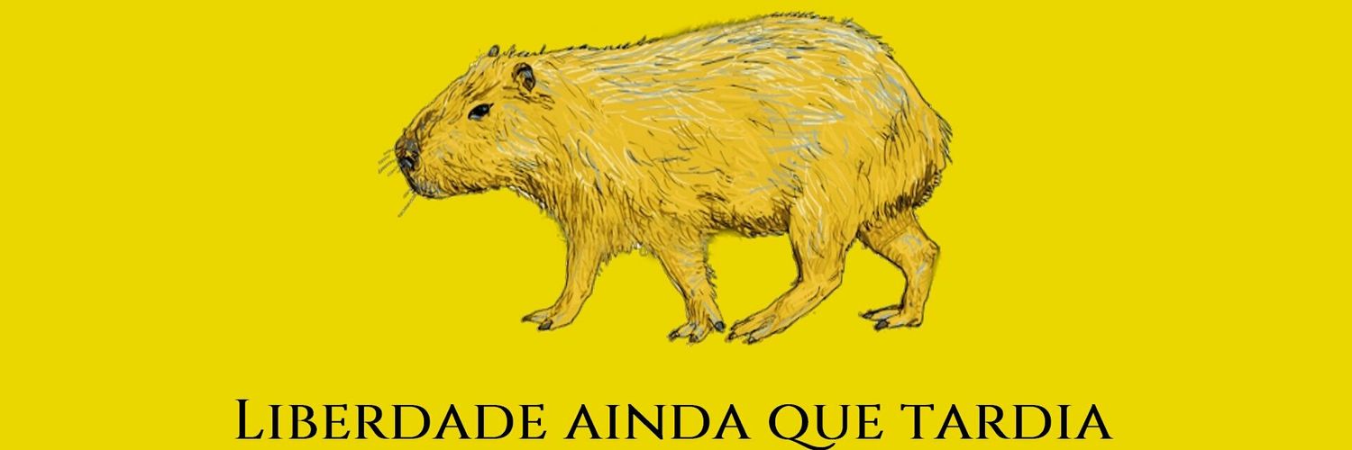 Mineiro cheio de dúvida 🇵🇹 🇧🇷 🇮🇹🌍 banner